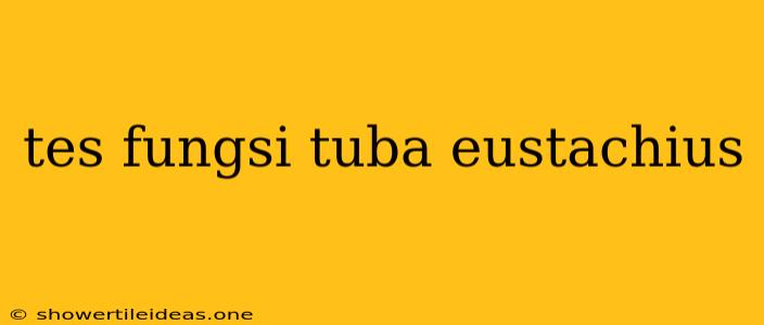 Tes Fungsi Tuba Eustachius