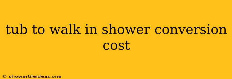 Tub To Walk In Shower Conversion Cost