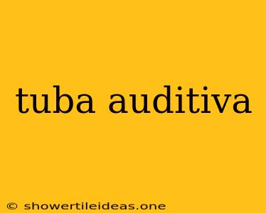 Tuba Auditiva