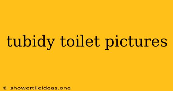 Tubidy Toilet Pictures