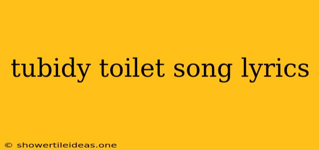 Tubidy Toilet Song Lyrics