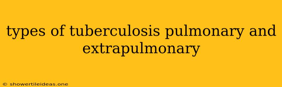 Types Of Tuberculosis Pulmonary And Extrapulmonary