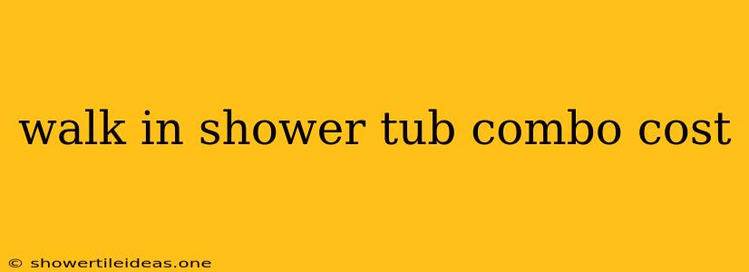 Walk In Shower Tub Combo Cost