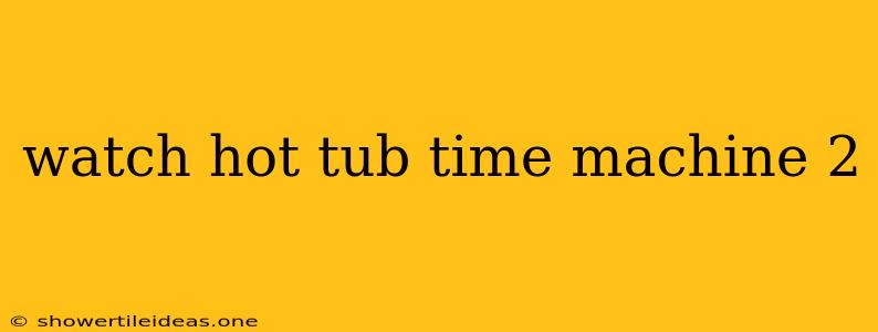 Watch Hot Tub Time Machine 2