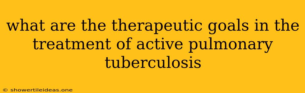 What Are The Therapeutic Goals In The Treatment Of Active Pulmonary Tuberculosis