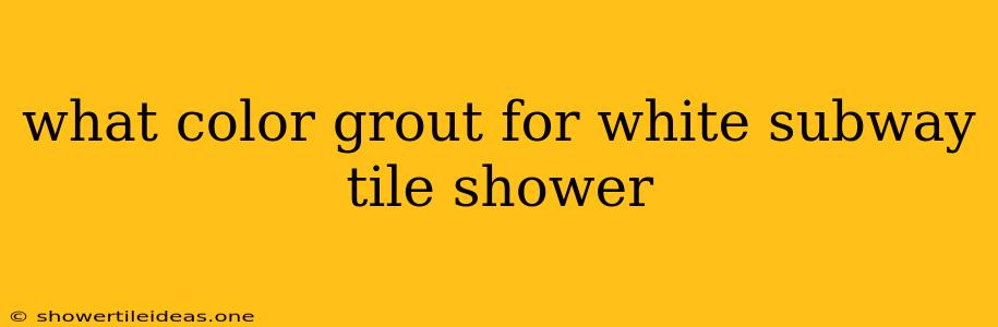 What Color Grout For White Subway Tile Shower