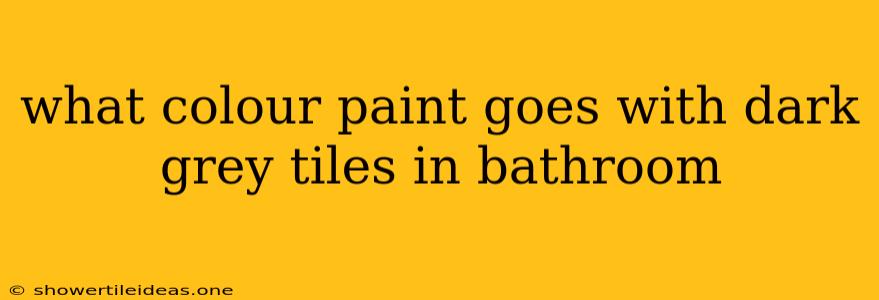 What Colour Paint Goes With Dark Grey Tiles In Bathroom