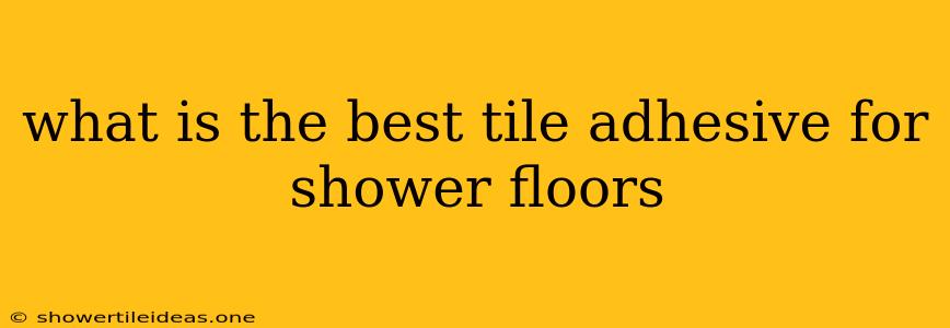 What Is The Best Tile Adhesive For Shower Floors