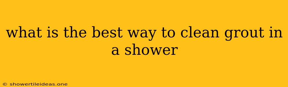 What Is The Best Way To Clean Grout In A Shower