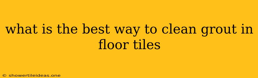 What Is The Best Way To Clean Grout In Floor Tiles