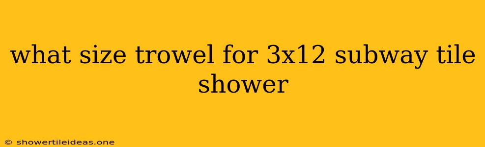 What Size Trowel For 3x12 Subway Tile Shower