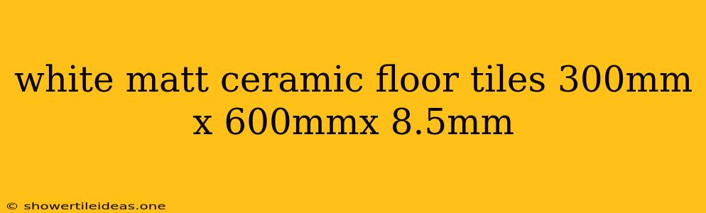 White Matt Ceramic Floor Tiles 300mm X 600mmx 8.5mm