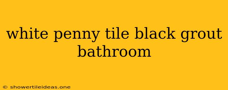 White Penny Tile Black Grout Bathroom