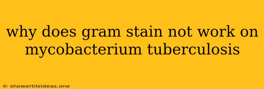 Why Does Gram Stain Not Work On Mycobacterium Tuberculosis