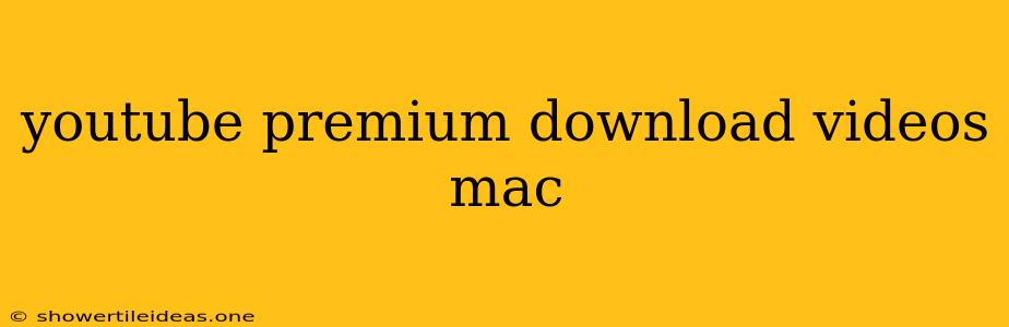 Youtube Premium Download Videos Mac