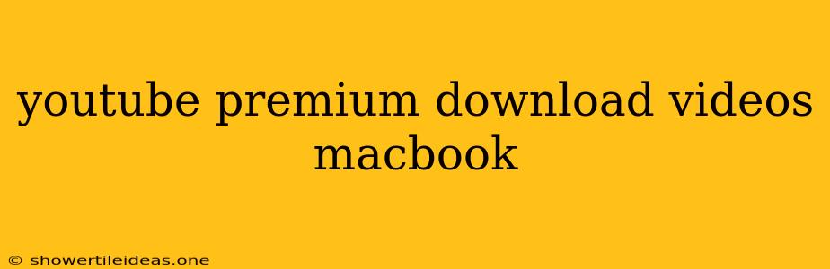 Youtube Premium Download Videos Macbook