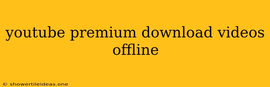 Youtube Premium Download Videos Offline