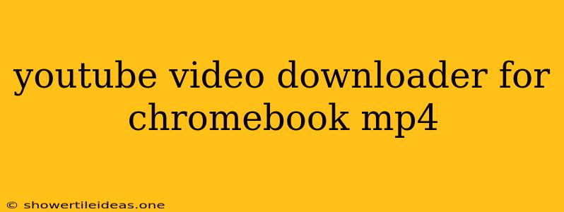 Youtube Video Downloader For Chromebook Mp4