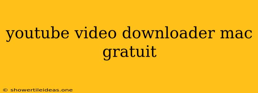 Youtube Video Downloader Mac Gratuit